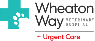 WWV-015 Urgent Care Logo color.png